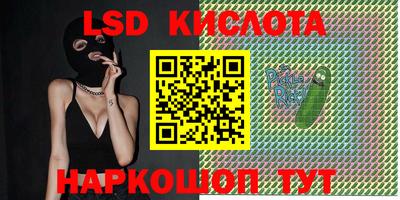 гашик Братск