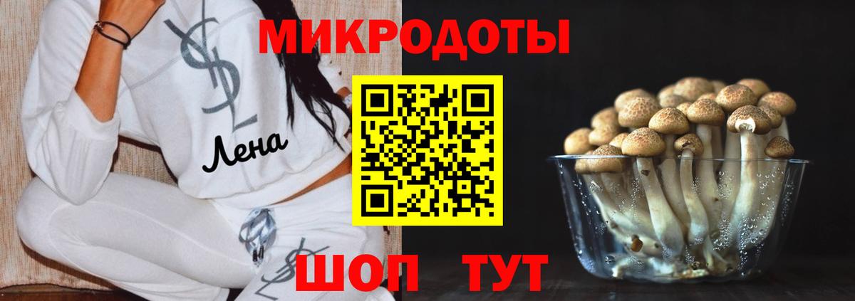 Псилоцибиновые грибы ЛСД  Вход с VPN  Камень-на-Оби 
